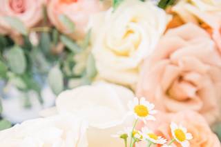 Lovely Peonies - 132