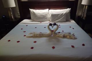 Knot Your Average Vacation - 6