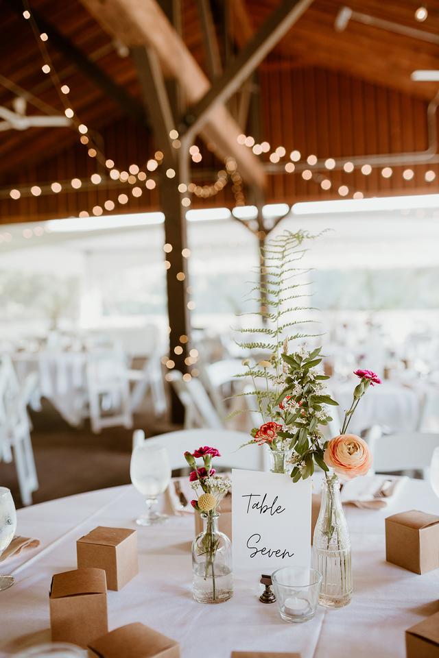 Megan Alea Photography - 4