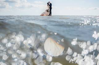 Amanda Basteen Photography - 62