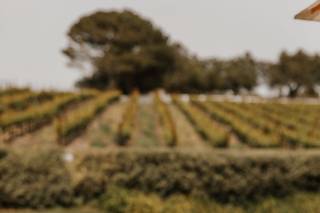 Bottles & Ice, Bar Service - 7
