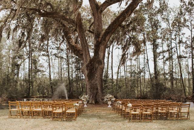 Hyde Park Farm & Polo Club 3