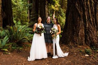 Rooted & Wild - 27