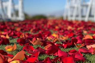 Blossoms by Angie - 58