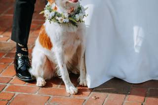 Brittany Rae Photography - 7