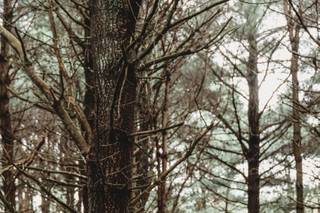 Whimsy Day Photography - 23