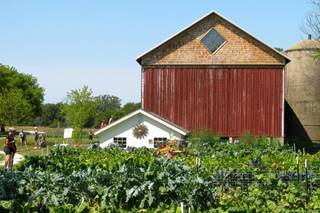 Serenity Farm - 19