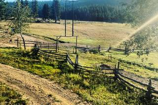 Longhorn Guest Ranch - 23
