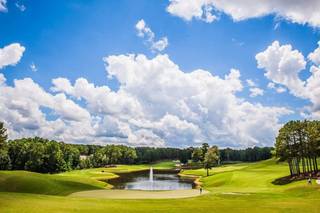 Cobblestone Park Golf Club - 12