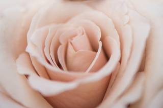 Flowers by Amanda - 64