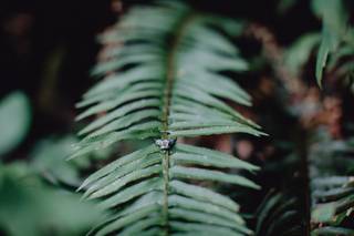 Nicole Gagne Photography - 10