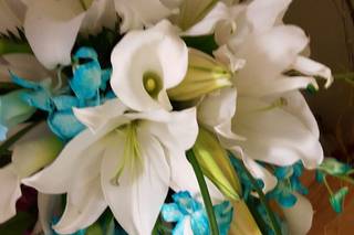 Paragon Flowers - 2