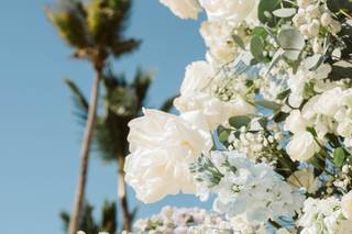Vlady Flowers - 97