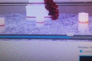 Sorellas Custom Cakes - 28