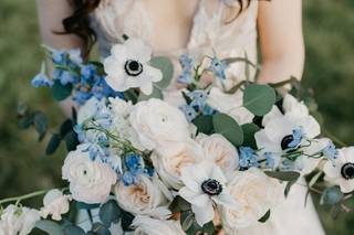 Springvine Design - 33