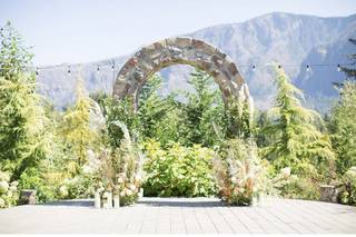 Organic Album Photography - 11