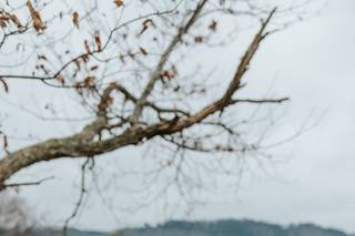Carly Crawford Photography - 16