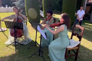 Giulia Ermirio Violist - 10