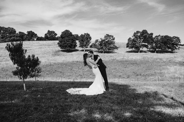 Vanessa Falcone Photography - 1