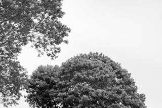 Luz Photography by Paula - 12