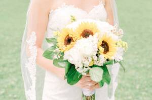 Pick a Daisy - 70