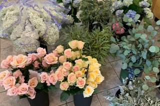 Shelley's Flowers & Gifts - 87