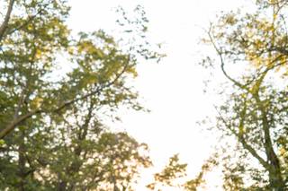 Parsell Photography - 6