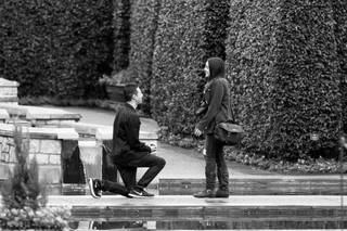 New Seasons Photography - 13