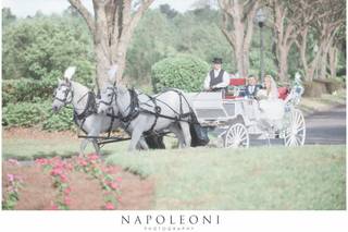 Napoleoni Photography, LLC - 12