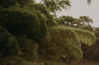 A Photo Gallery - 79