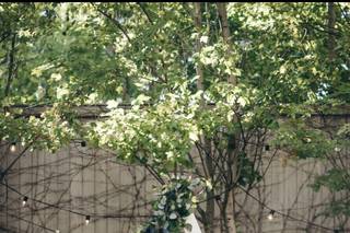 Brattle Square Florist - 11