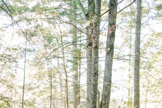 Lace & Brass Events, LLC - 45