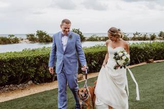 Twist of Fate Imagery - 15