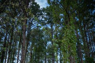 Smarty Pants Photography - 7