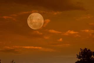 Reflections by Paul L. Chokota - 5
