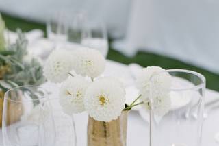 Anna Le Pley Taylor - 23