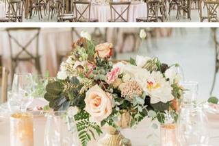 Poppati Events - 10