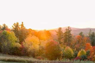 Anne Lee Photography - 13