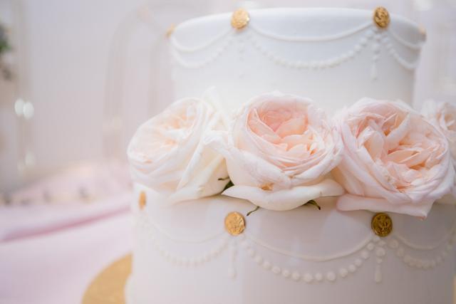 Cake Delights - 1