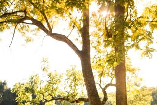 Cassondre Mae Photography - 48