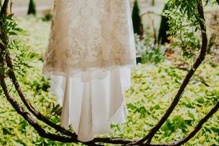 Taylor Willoughby Photo - 35