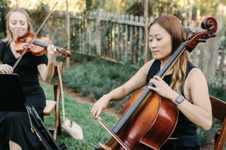 Cobalt Strings - 19