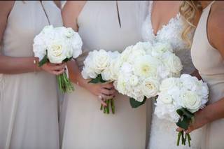 Perfect Petal - 15