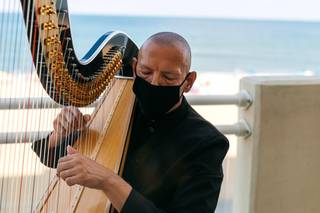 Vince Zentner Harpist - 11