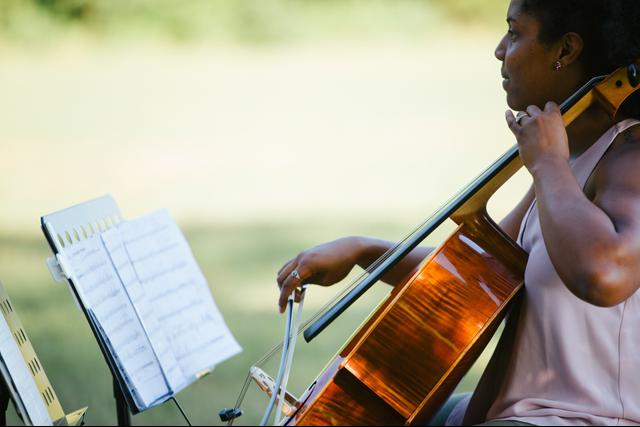 Classical Cellist - 1