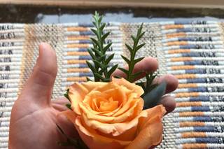Bloominous - 50