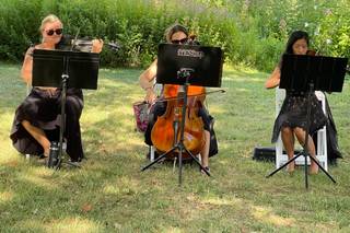 Ceremonious Strings - 16