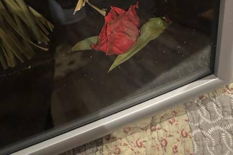 Timeless Flowers 1