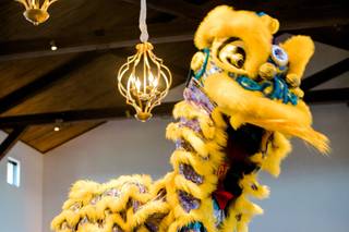Lion Dance ME - 8