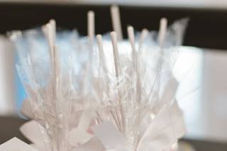 Matt Meier Photography - 5